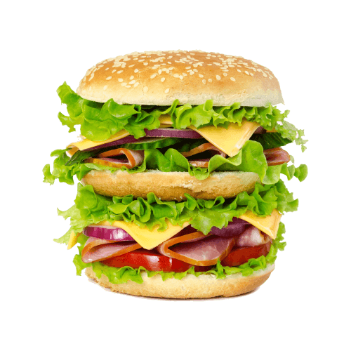 Fried Chicken Burger